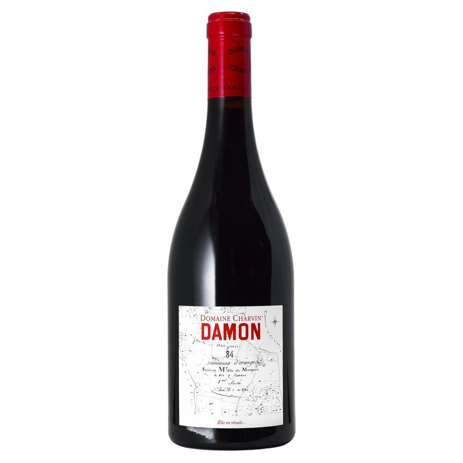 Domaine Charvin Côtes du Rhône Damon 2023