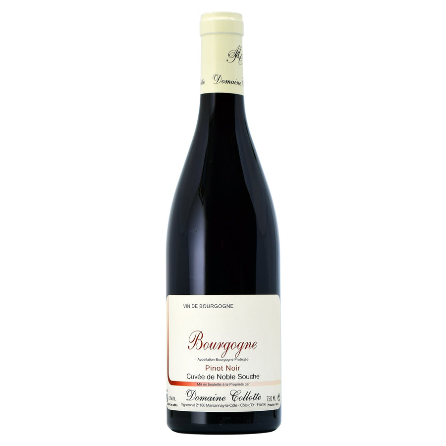 Domaine Collotte Bourgogne Pinot Noir Cuvée de Noble Souche 2022
